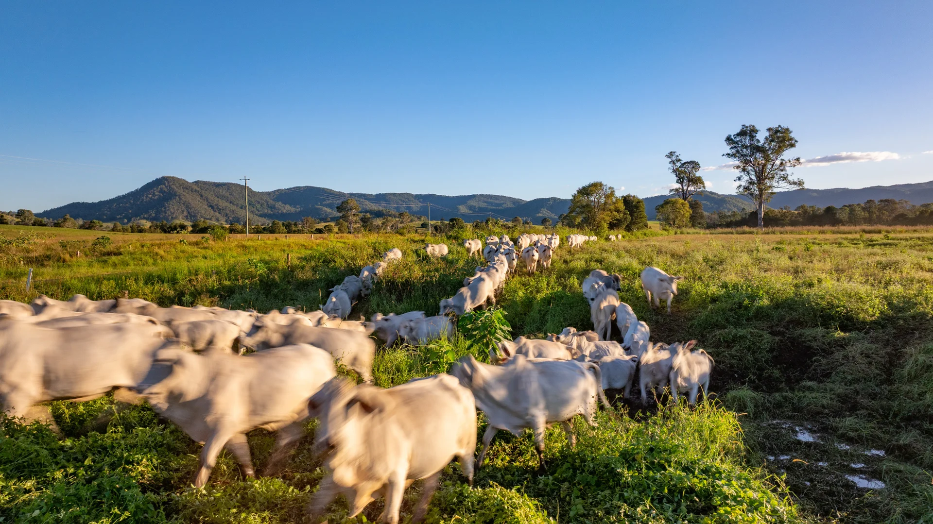 Additional image 10 of 189 (Lot 33) Eastern Mary River Road, Conondale QLD 4552