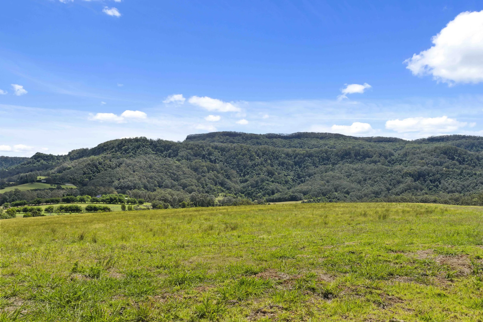 Additional image 22 of 19 Nooramunga Avenue, Cambewarra Village NSW 2540