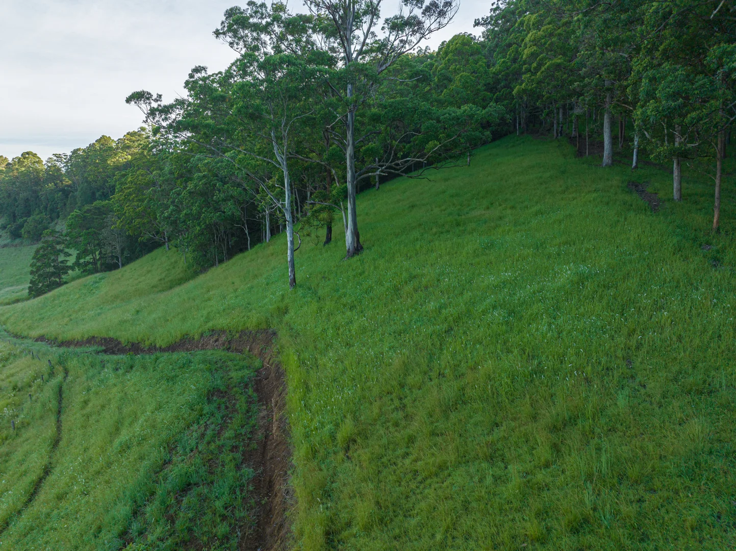 Additional image 31 of 2298 Nimbin Road, Nimbin NSW 2480