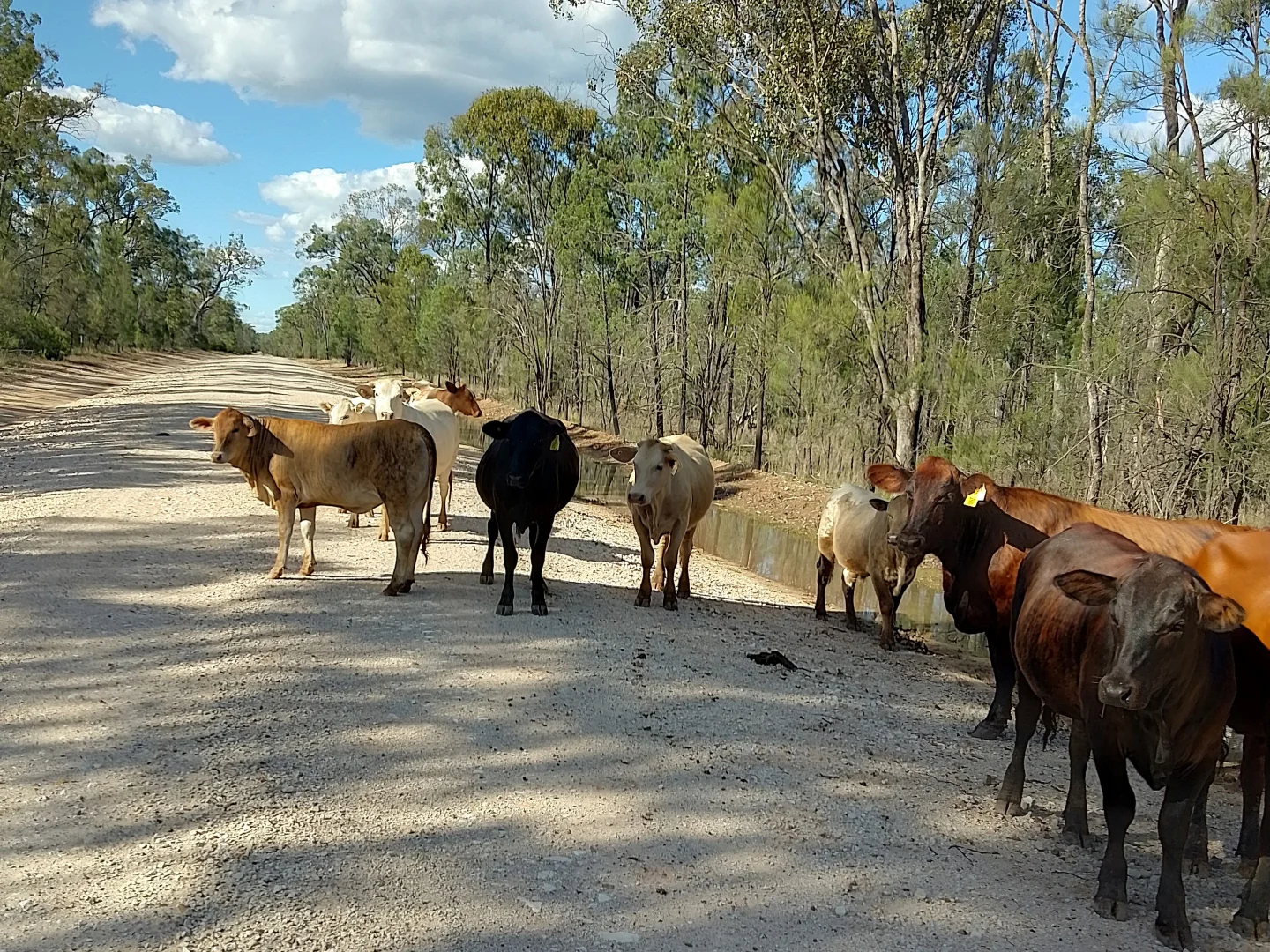 Additional image 10 of Lots 1 & N Yagaburne-Boondandilla Road, Boondandilla QLD 4406