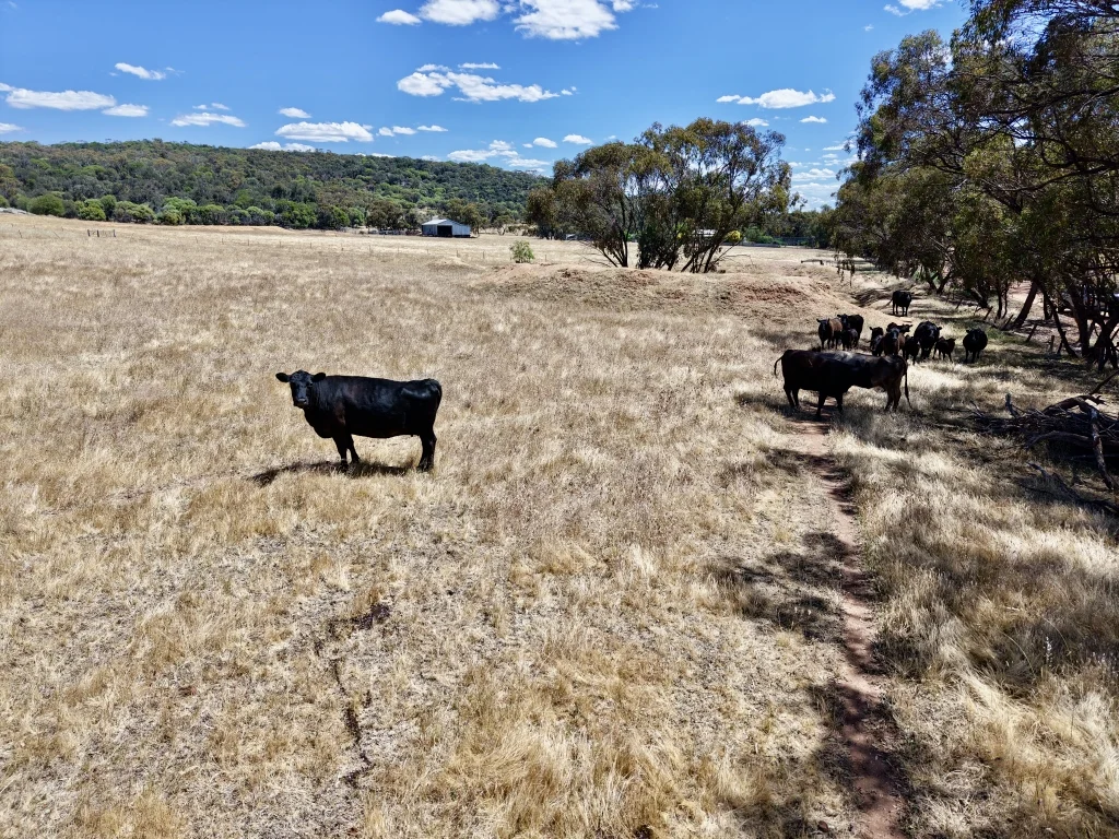 Additional image 38 of 90 Hobbs Road, Dale WA 6304