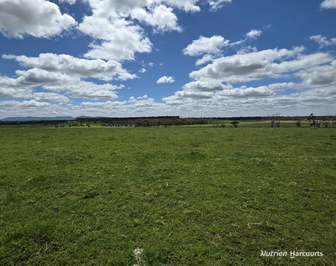 Additional image 29 of 1867 Chester Pass Road, Napier WA 6330