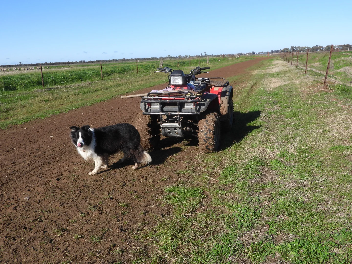 Additional image 2 of ( Davit Farm ) Cashmere Road, Widgelli NSW 2680