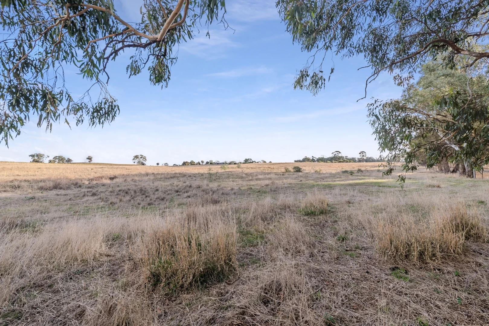Additional image 6 of 2, 293 Adairs Lane, Heathcote VIC 3523