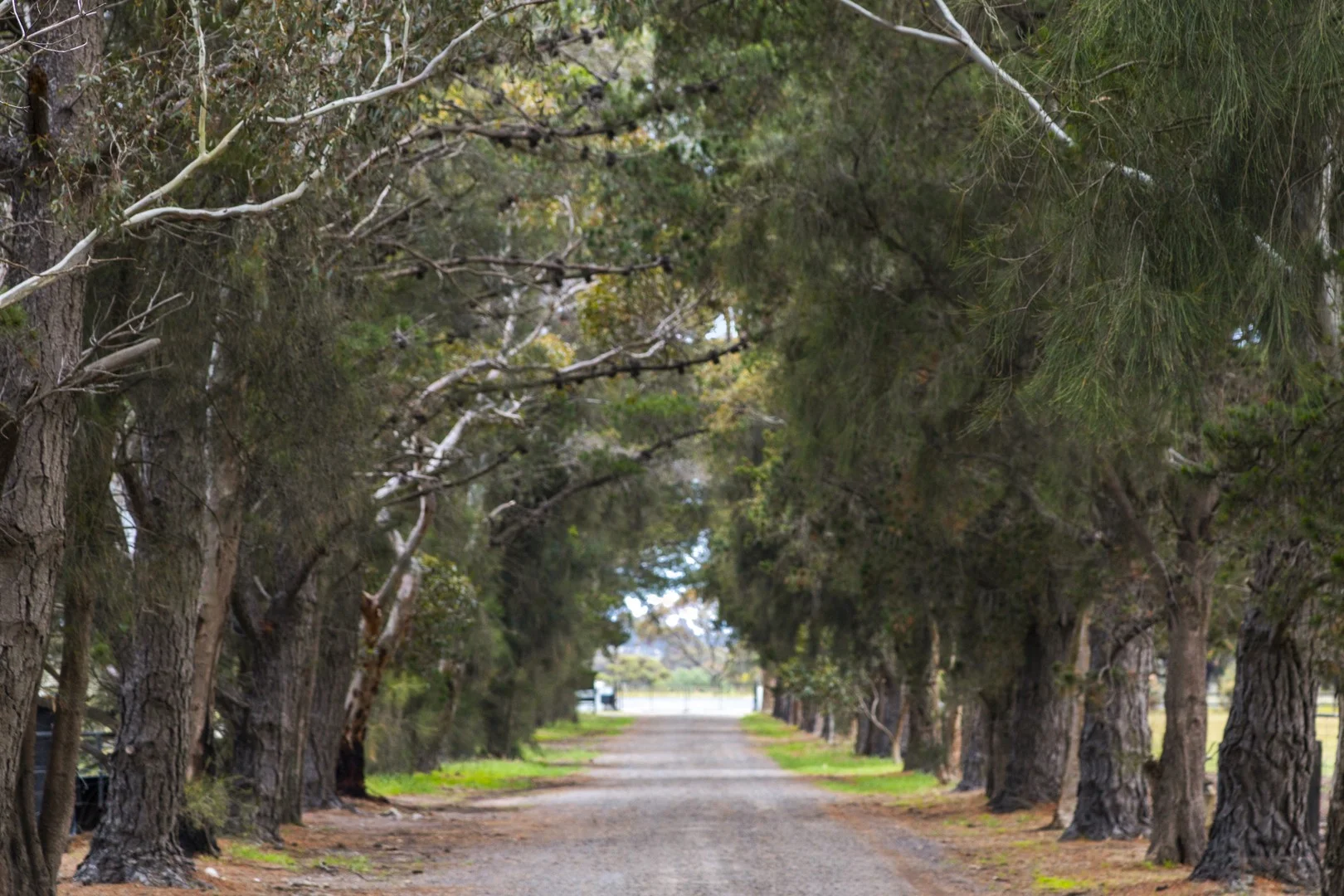 Additional image 11 of 2249 Midland Highway, Bannockburn VIC 3331