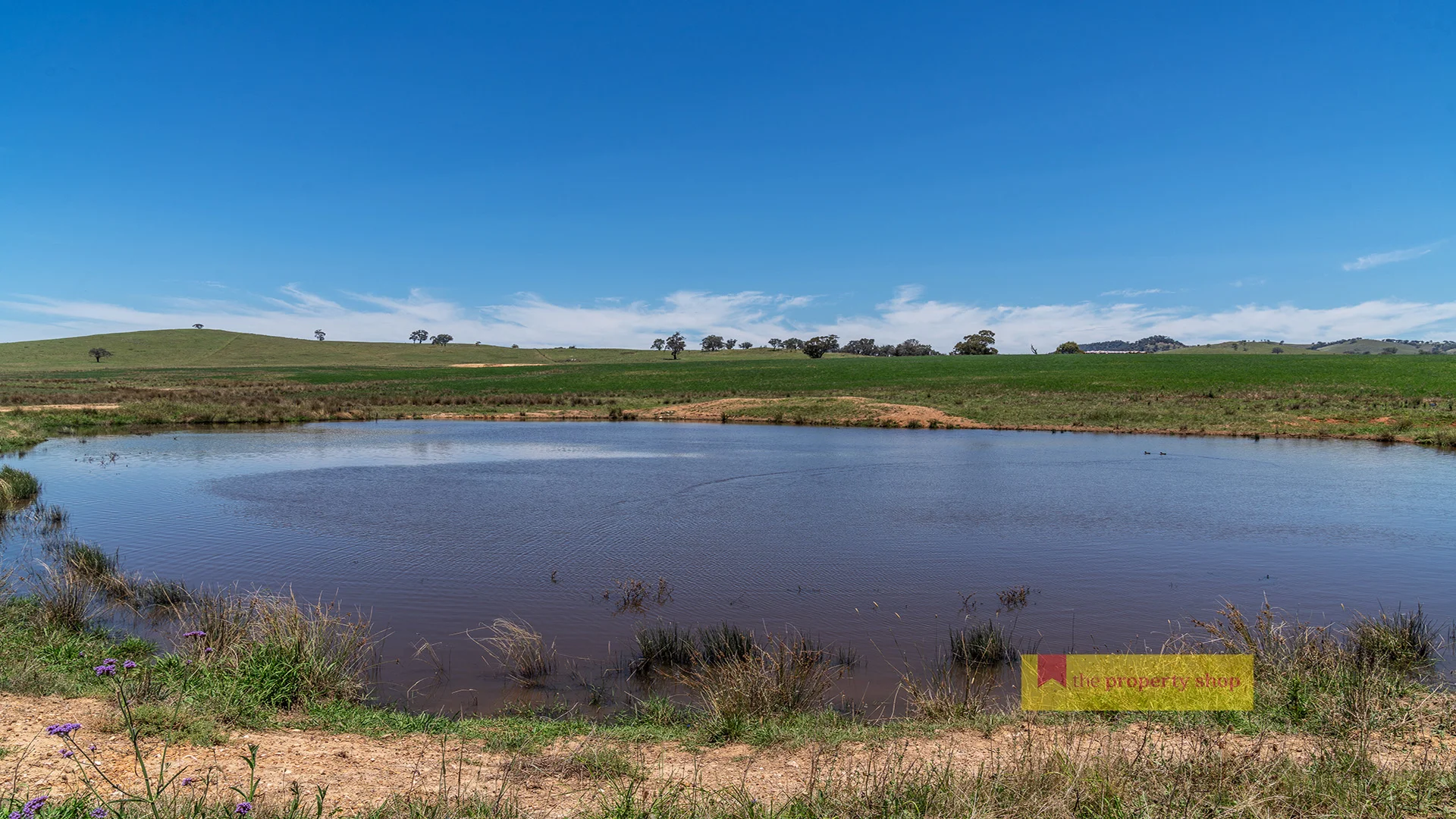 Additional image 4 of 735 Kaludabah Road, Mudgee NSW 2850