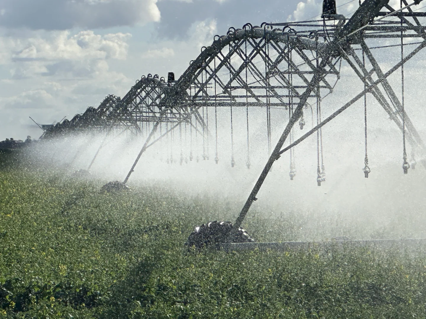 Additional image 7 of "Waringah" Mabins Well Road, Conargo NSW 2710