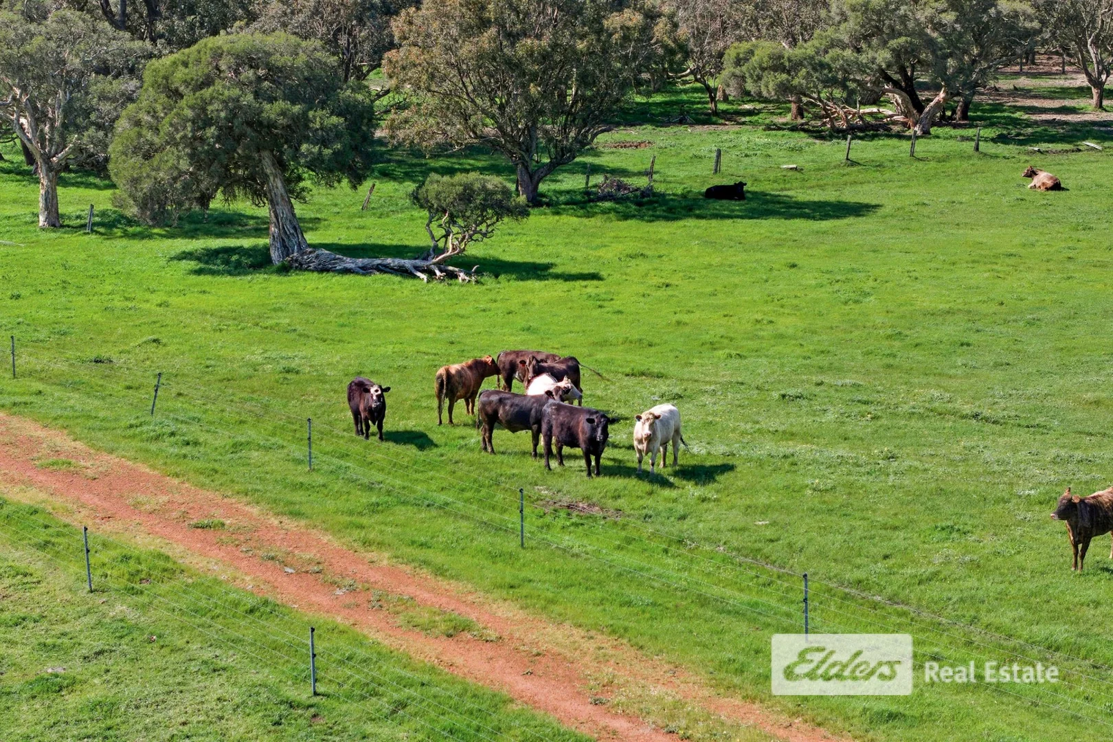 Additional image 8 of Dowdells Line, Paradise WA 6236