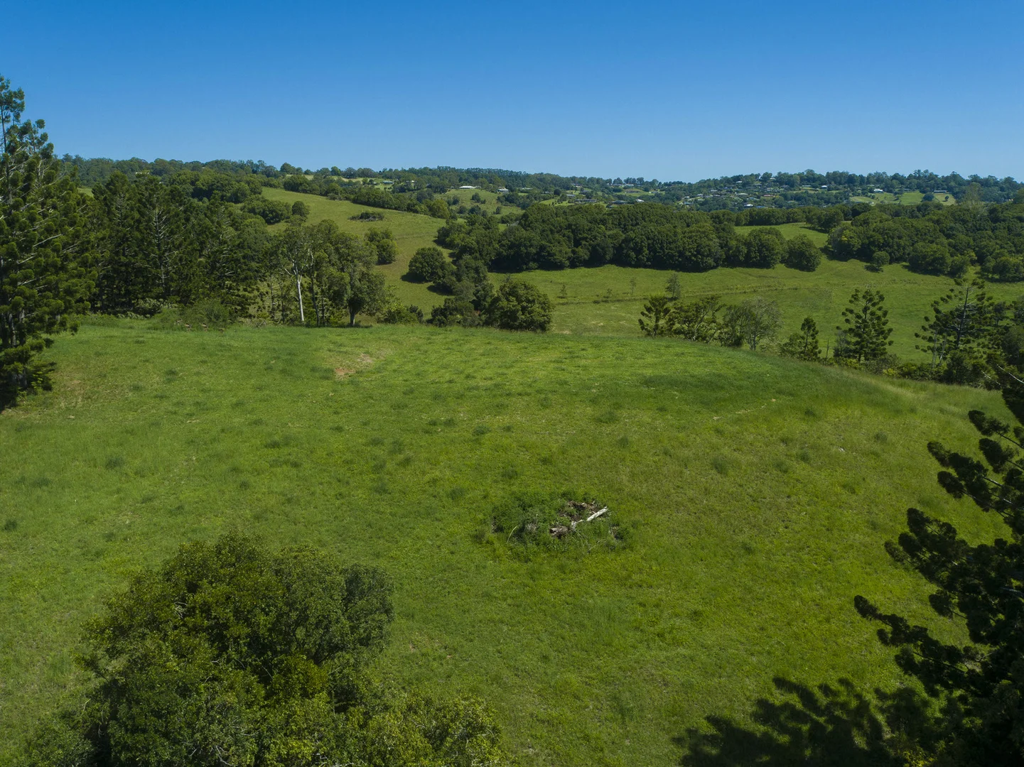 Additional image 8 of McLeans Ridges NSW 2480