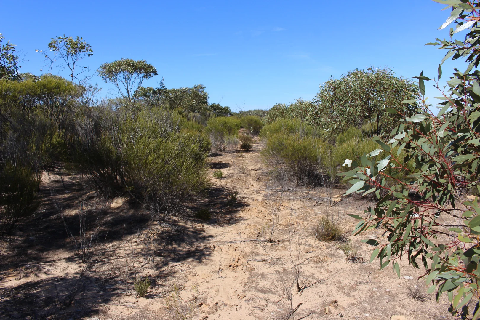 Additional image 4 of S22 Tori Hills Road, Sandalwood SA 5309