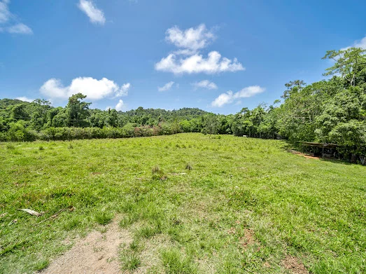 Additional image 7 of 582 Bingil Bay Road, Bingil Bay QLD 4852