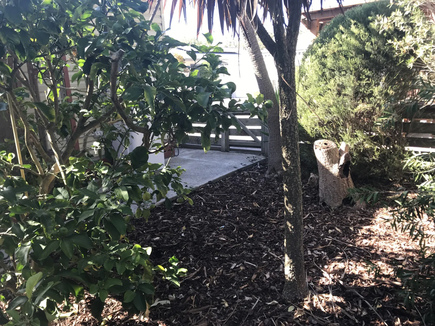 Additional image 8 of 126/249 High Street, Hastings VIC 3915