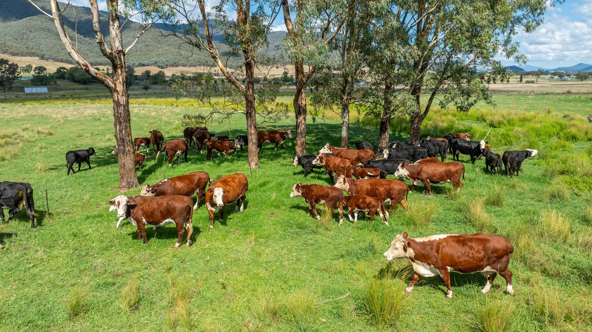 Additional image 21 of 2712 Gundowring Road, Upper Gundowring VIC 3691