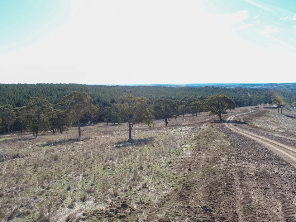 Additional image 6 of 1173 Cargo Road, Lidster NSW 2800