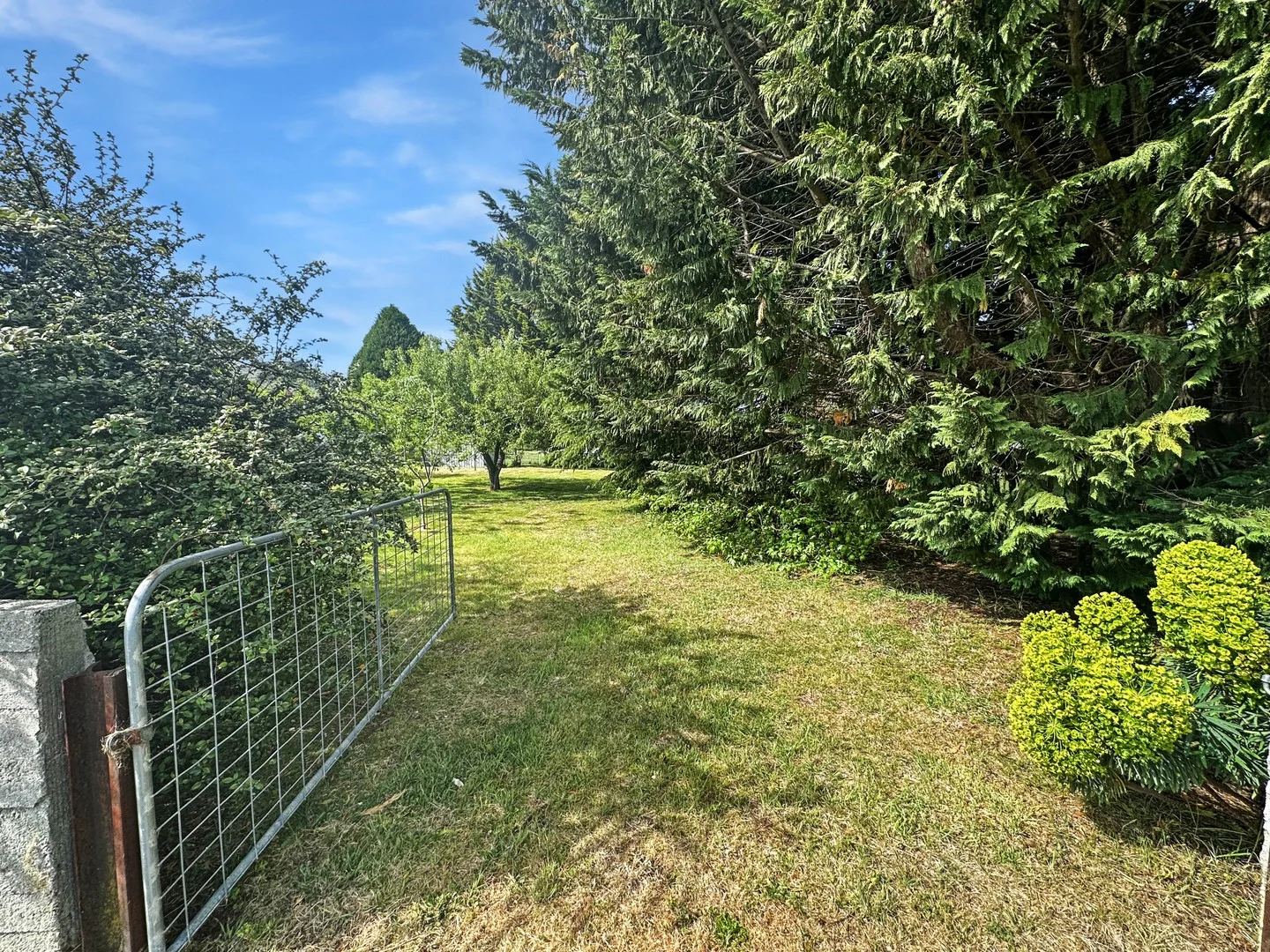 Additional image 3 of 10 Main Street, St Marys TAS 7215