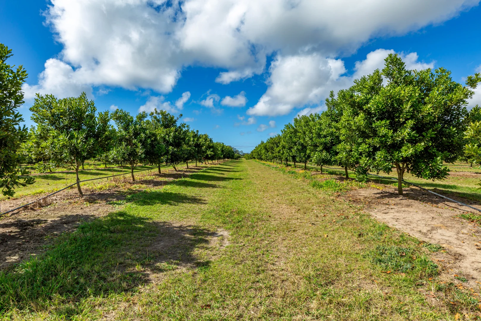 Additional image 8 of Mahoneys Road, Bucca QLD 4670
