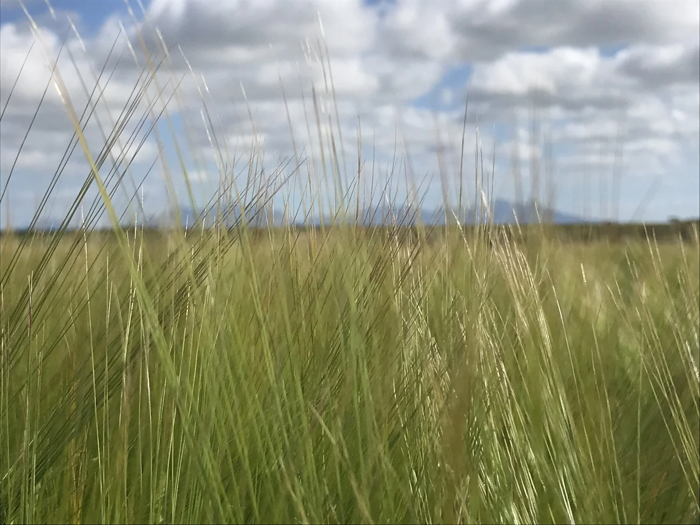 Additional image 20 of 39949 South Coast Highway, Green Range WA 6328