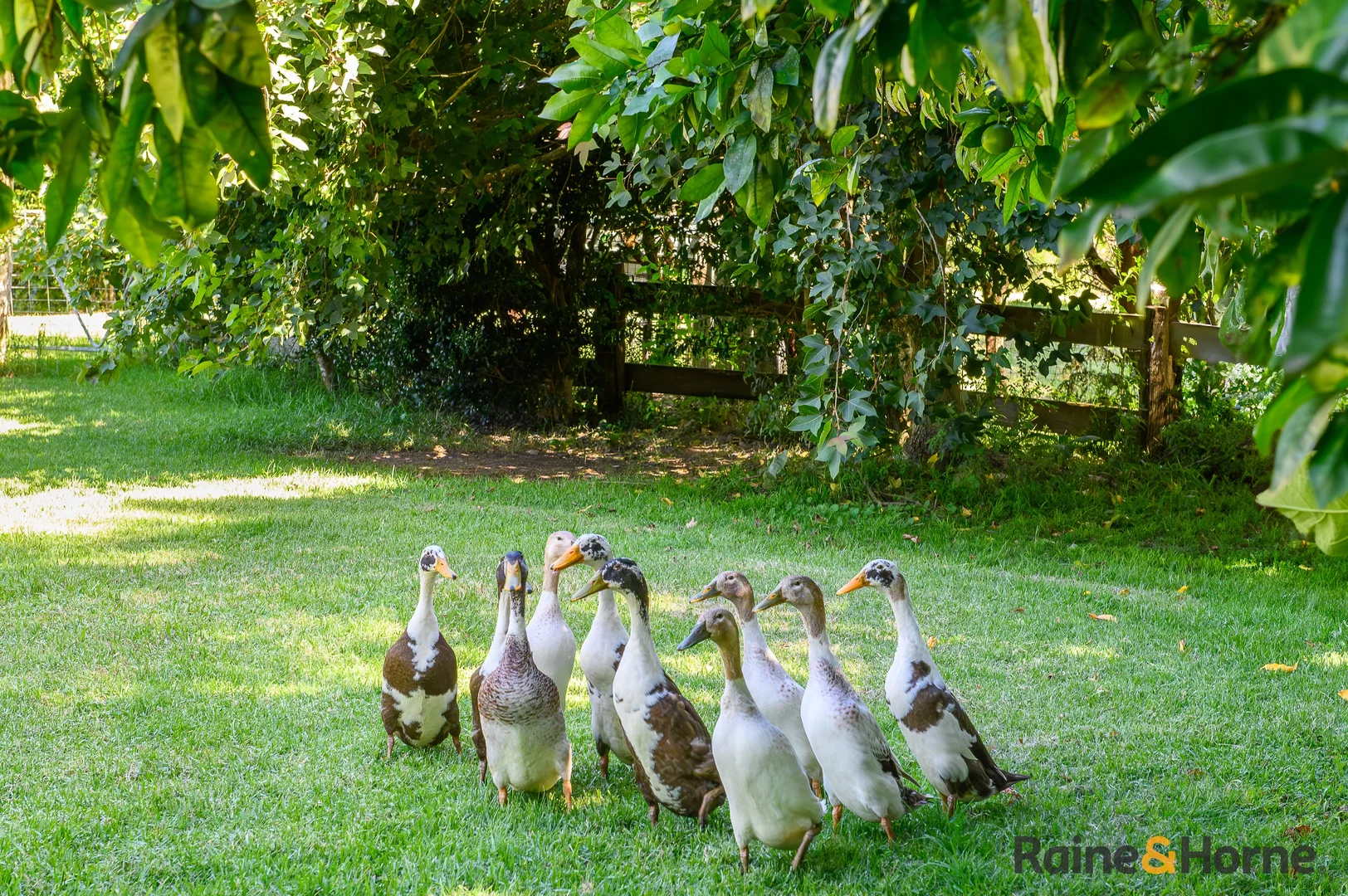 Additional image 14 of 1691 Coramba Road, Megan NSW 2453