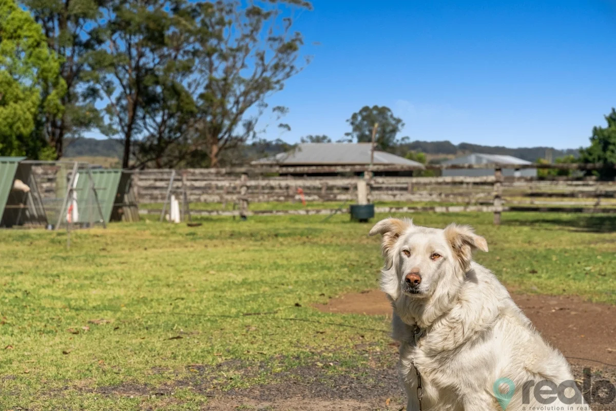 Additional image 7 of 20 Charlton Avenue, South Lismore NSW 2480
