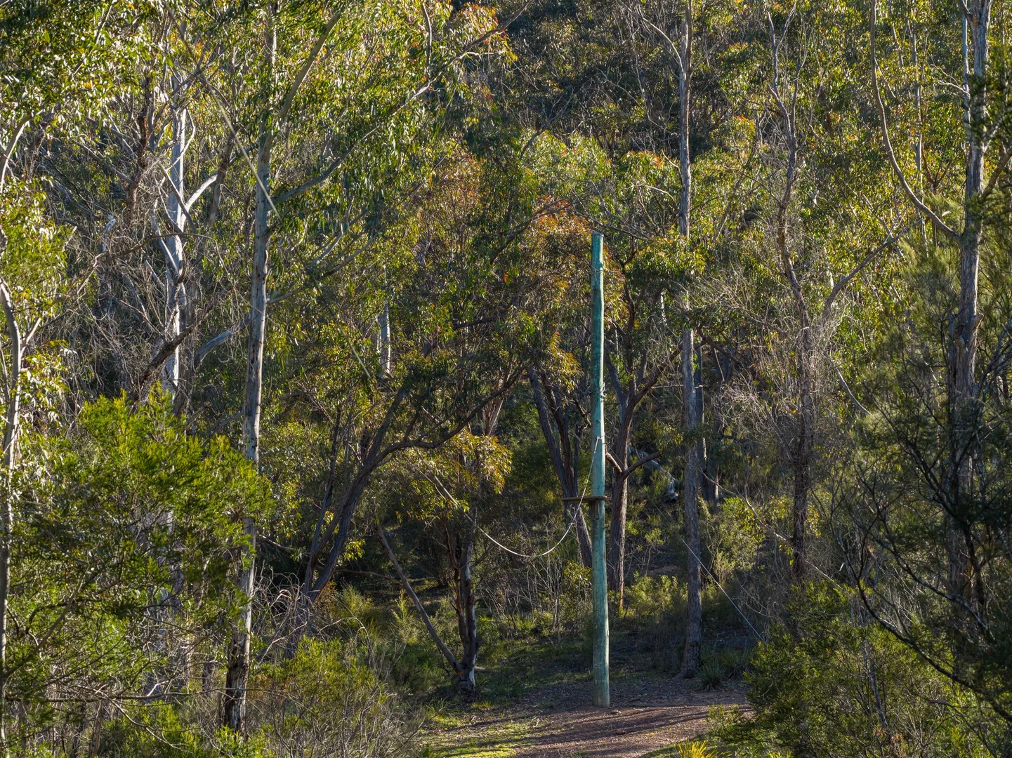 Additional image 20 of Belanglo NSW 2577