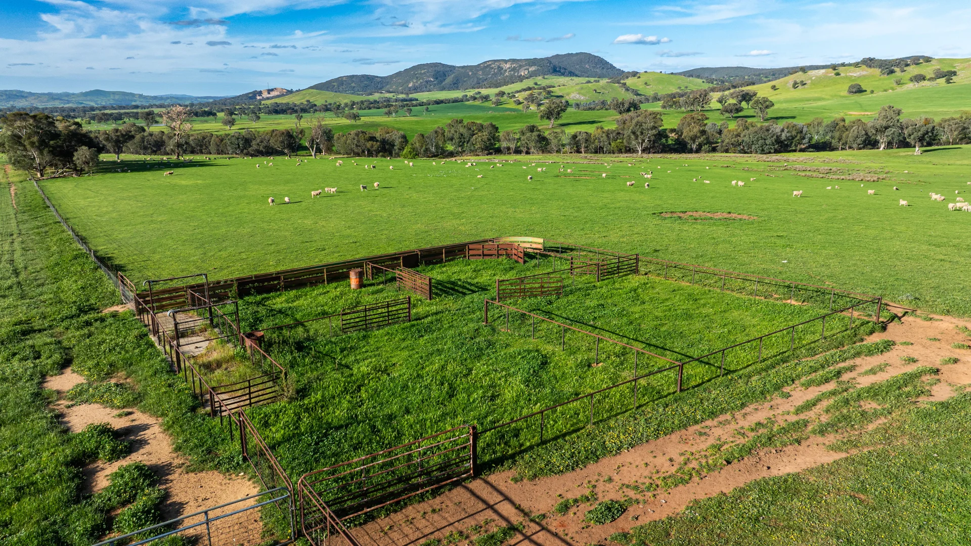 Additional image 3 of Lot 1/279 & Lot 2/281 Jingellic Road, Holbrook NSW 2644