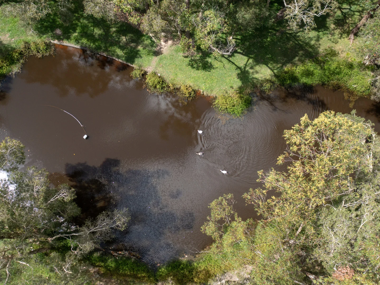 Additional image 29 of 13 Binowee Court, D'Aguilar QLD 4514