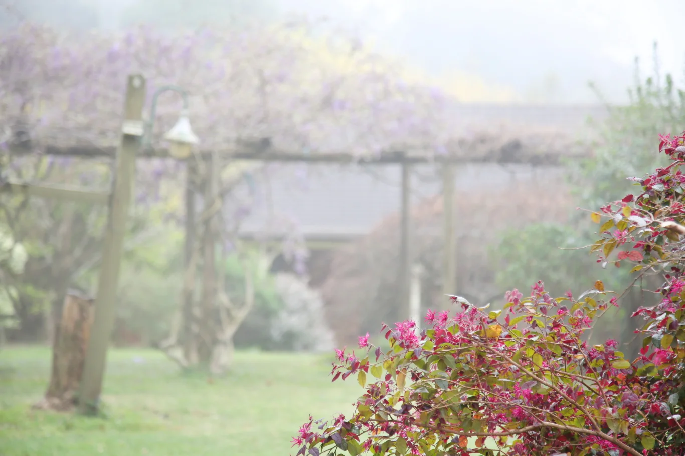 Additional image 33 of 499C Tourist Road, Bellawongarah NSW 2535