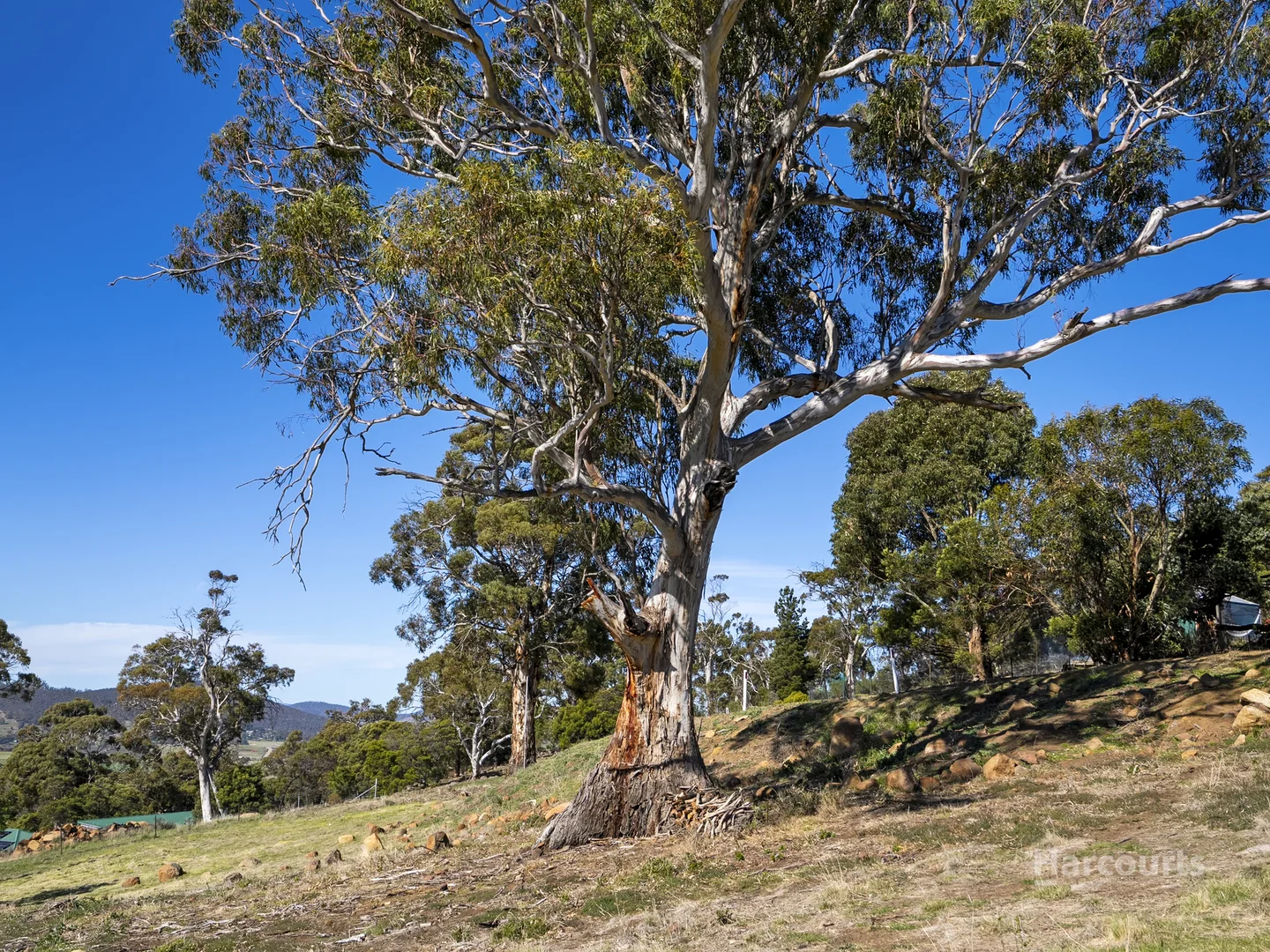 Additional image 16 of Lot 1/21 Jeannie Drive, Sorell TAS 7172