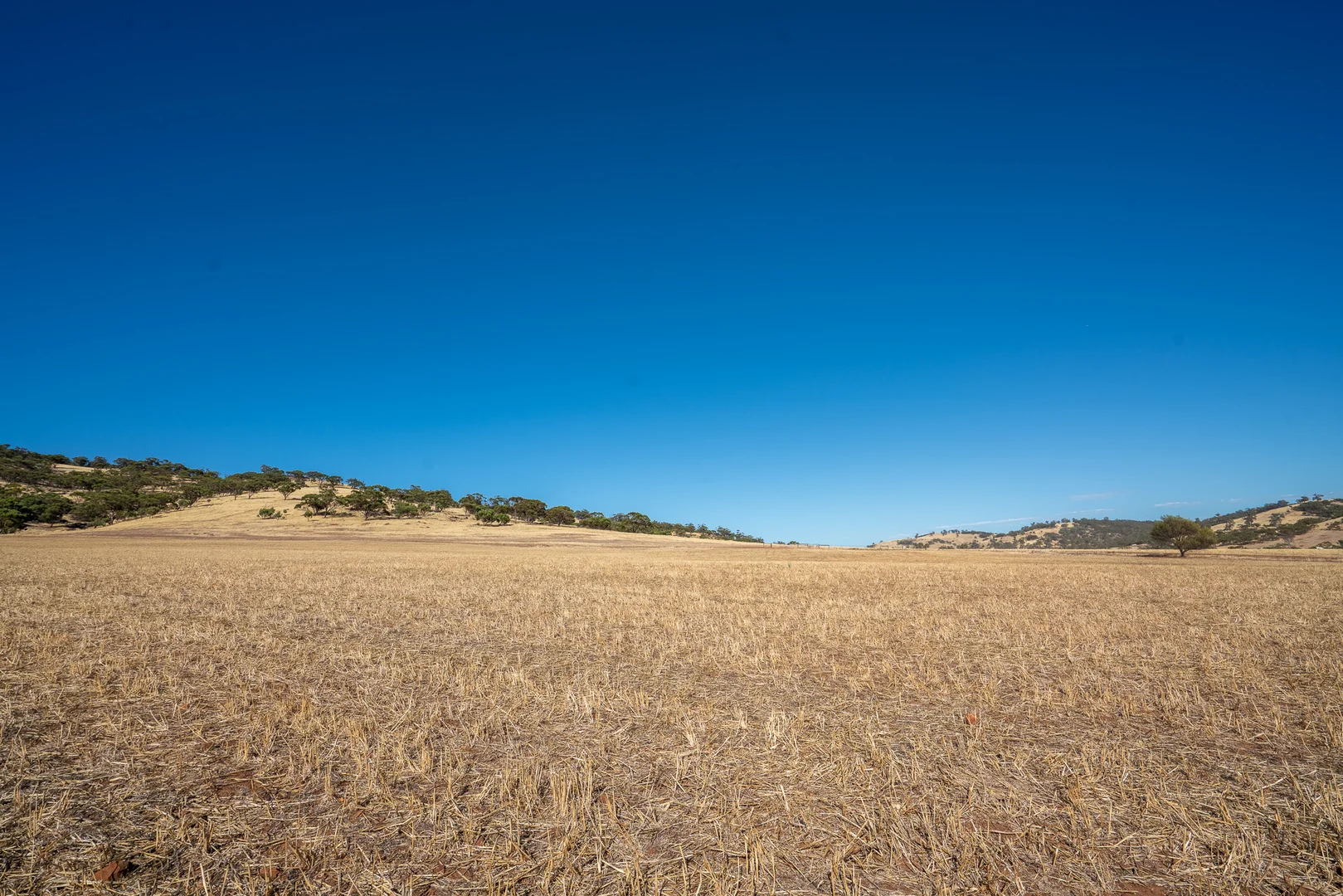 Additional image 6 of Toodyay WA 6566