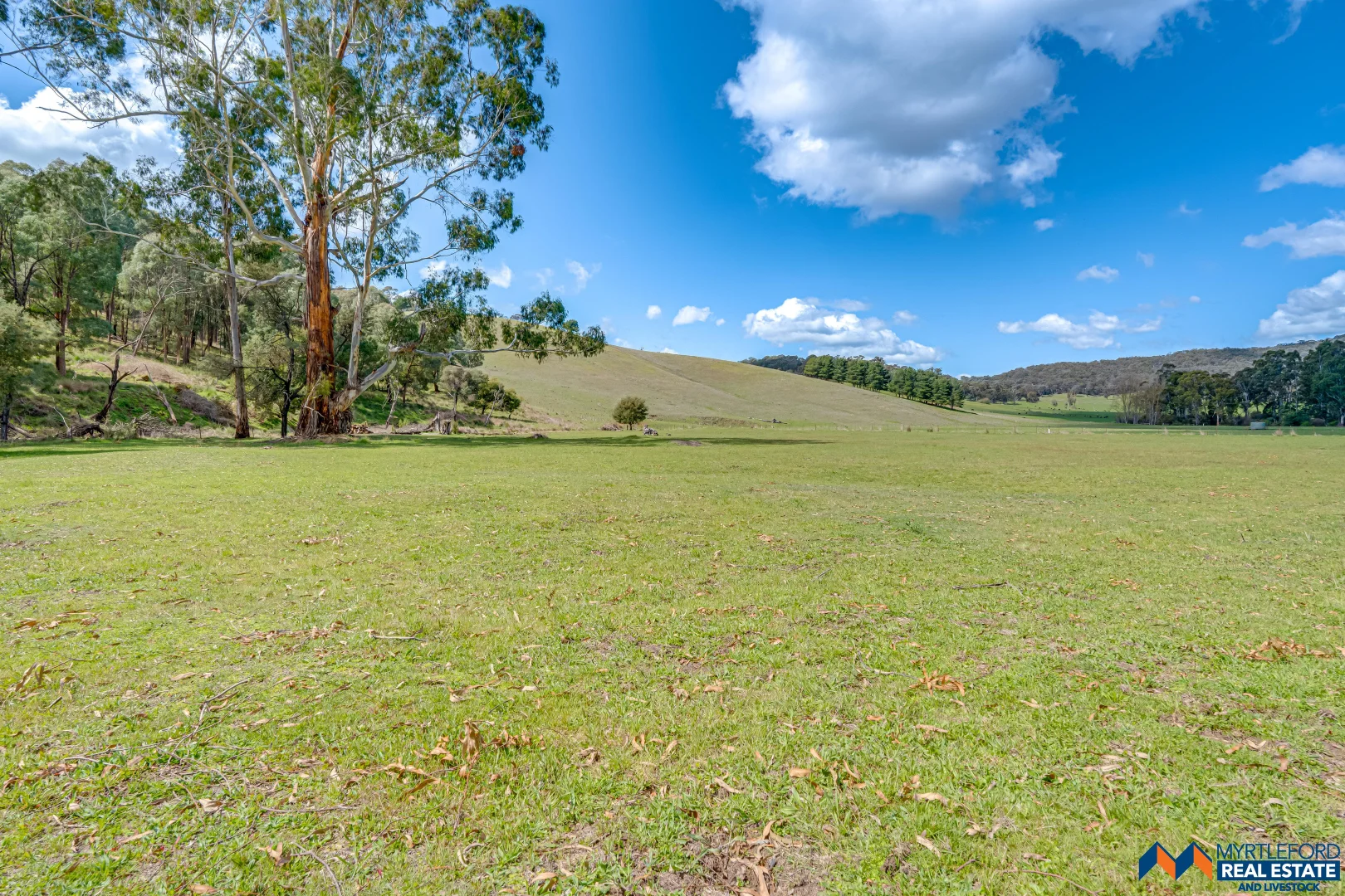 Additional image 31 of 330 Clemens Lane, Myrtleford VIC 3737