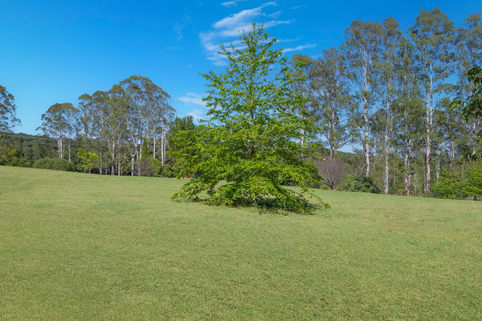 Additional image 14 of 321 Fernleigh Road, Fernleigh NSW 2479