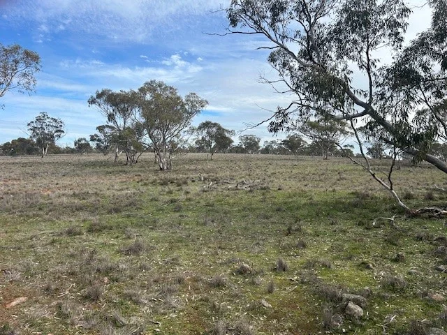 Additional image 13 of 418 Donaldsons Road, Corbie Hill NSW 2705