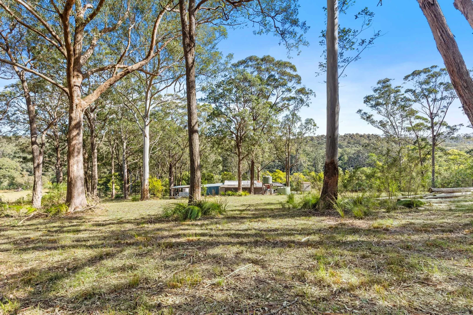 Additional image 12 of 1 Sheas Road, Mogood NSW 2538