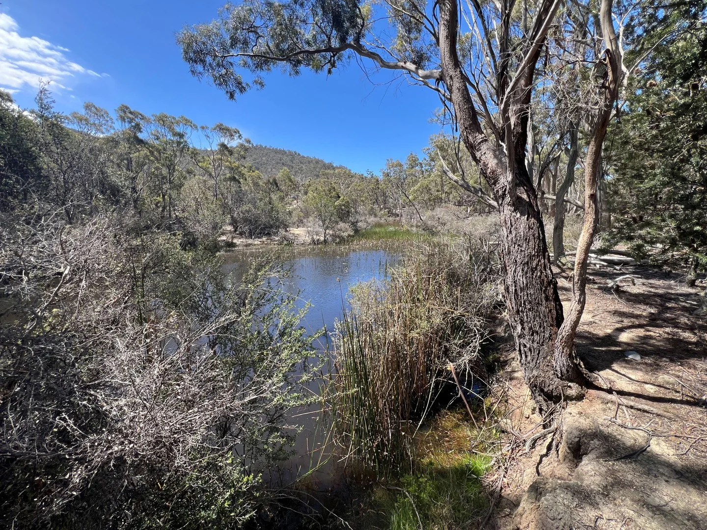 3 Leona Road, Avoca TAS 7213