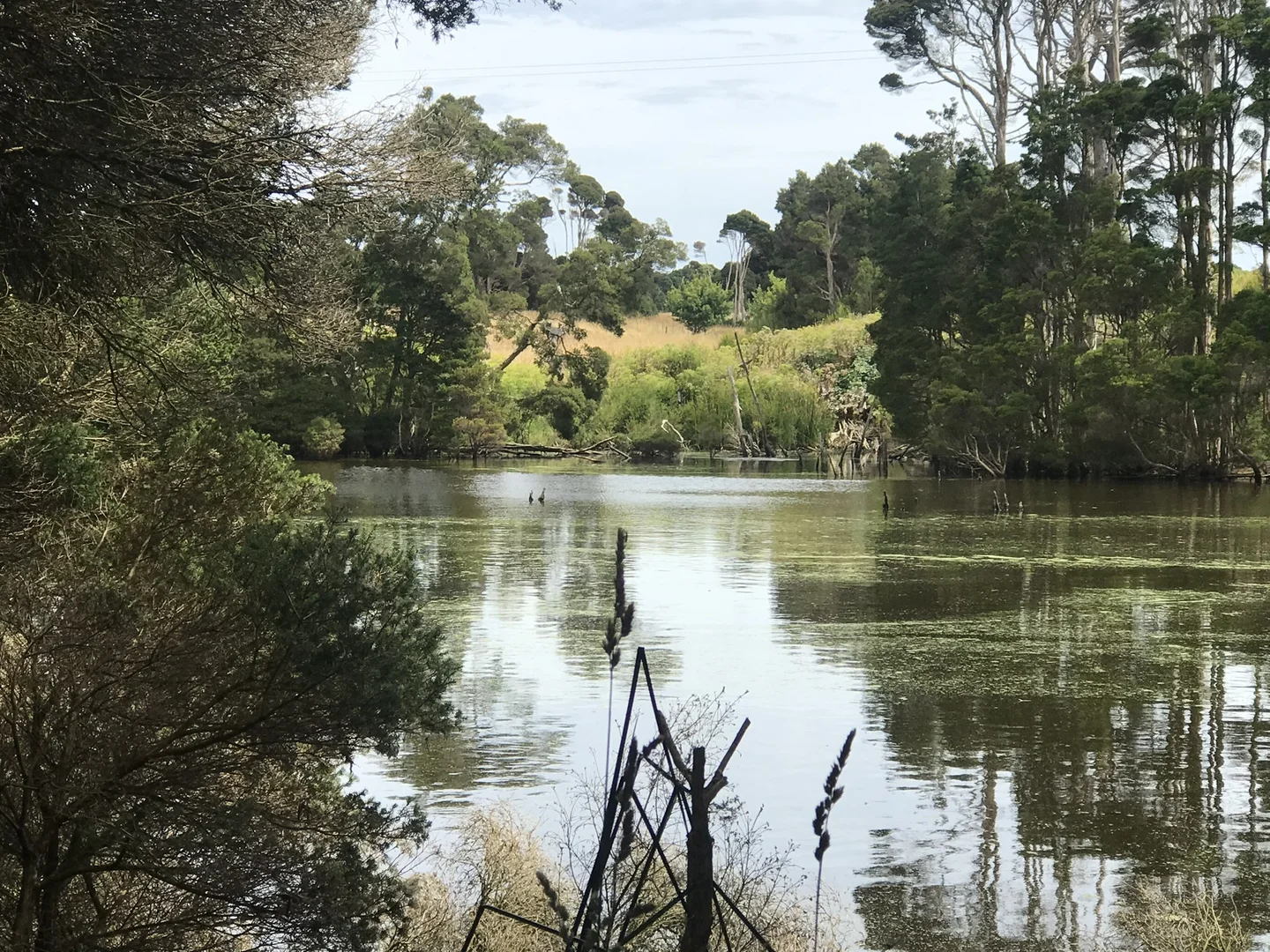 Additional image 2 of 90 Bischoffs Road, Pegarah TAS 7256