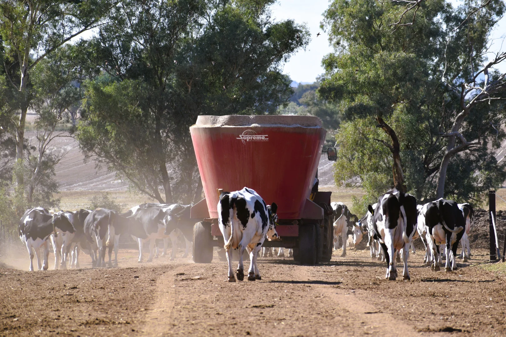 Additional image 31 of 448 Nangar Road, Canowindra NSW 2804