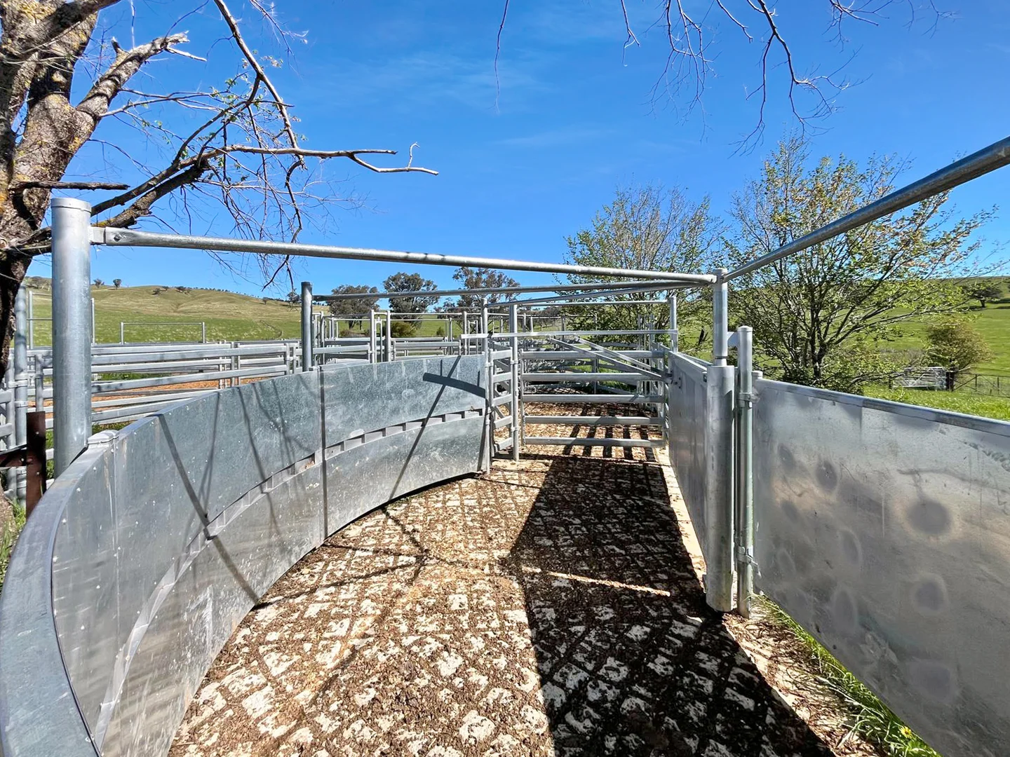 Additional image 24 of 'horse Gully' Old Waugoola Road, Woodstock NSW 2793