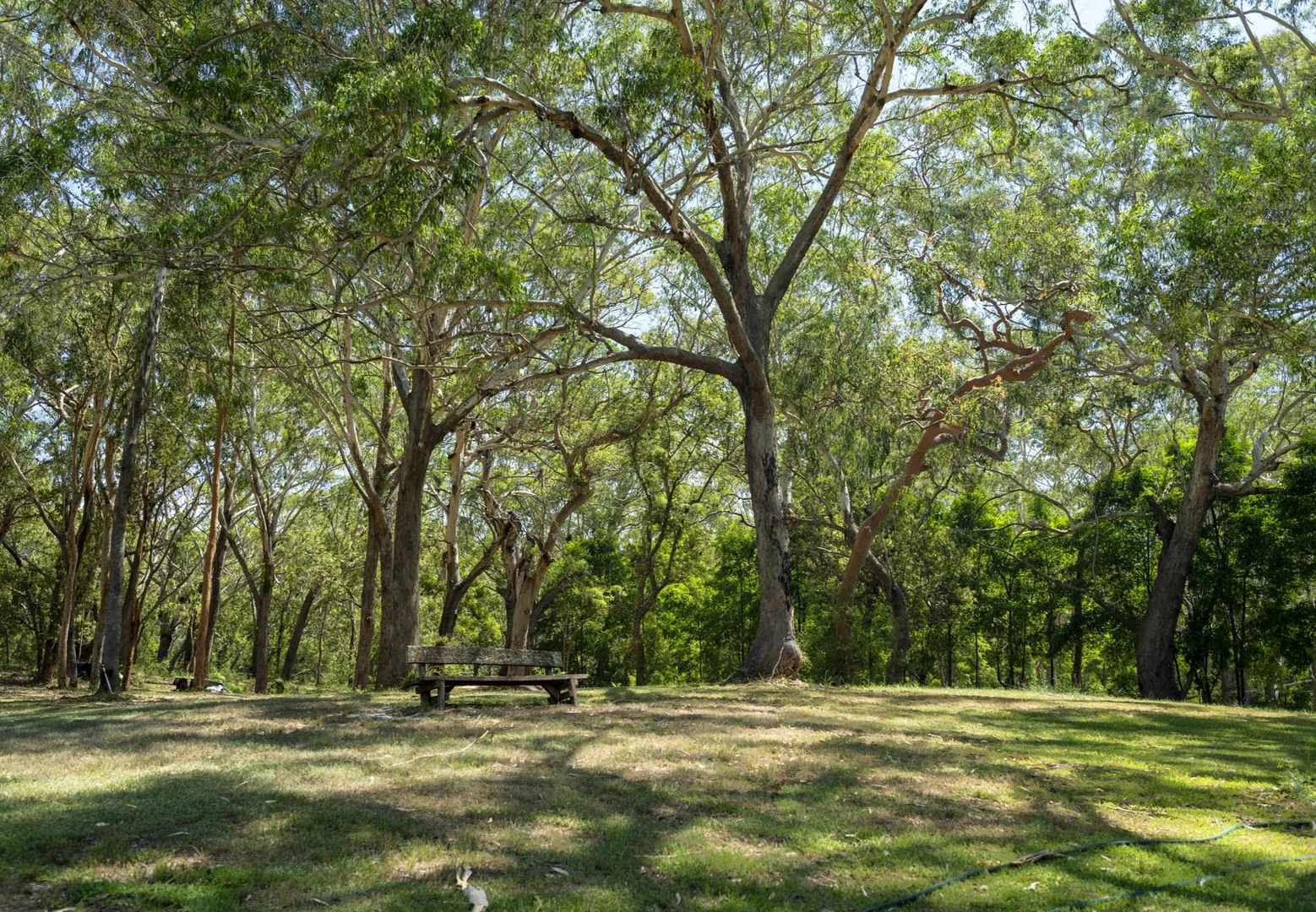 Additional image 9 of 3996 Nelson Bay Road, Bobs Farm NSW 2316