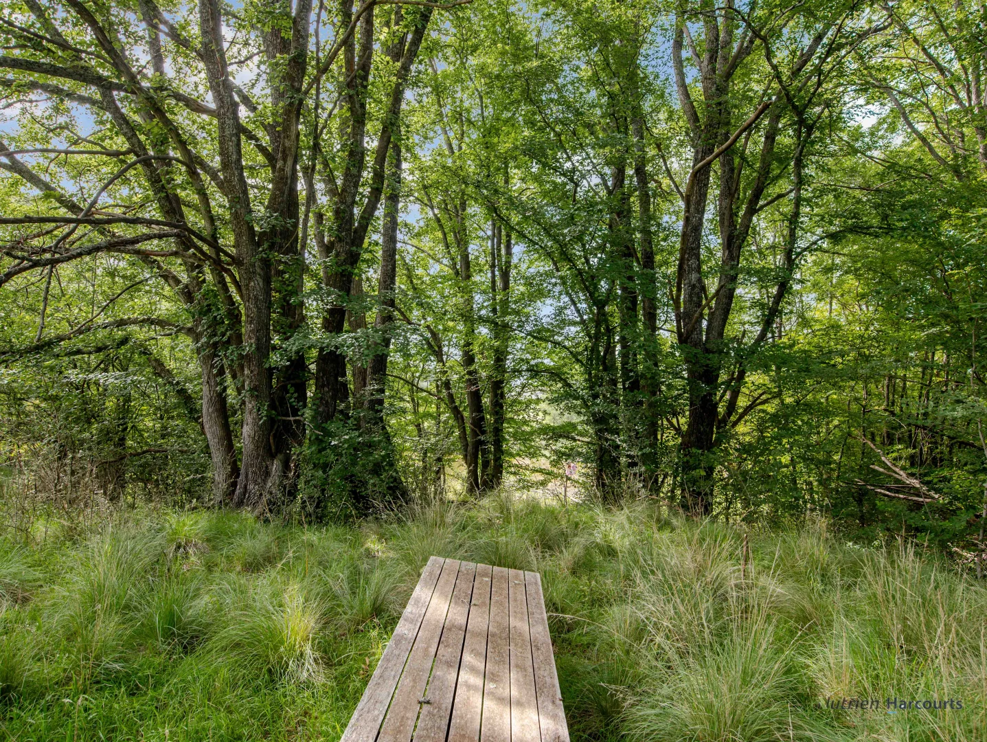 Additional image 40 of 106 Cawthornes Lane, Braidwood NSW 2622