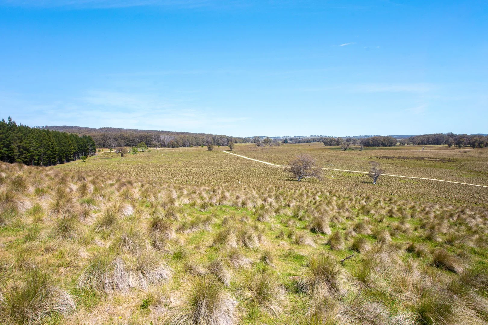 Additional image 13 of Thornleigh Coolangubra Road, Cathcart NSW 2632