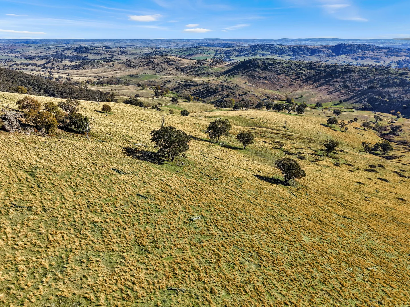 Additional image 12 of 333 Mount Darling Road, Reids Flat NSW 2586