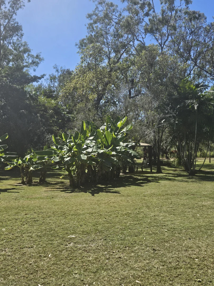 Additional image 11 of 158 Hodzic Rd, Biboohra QLD 4880