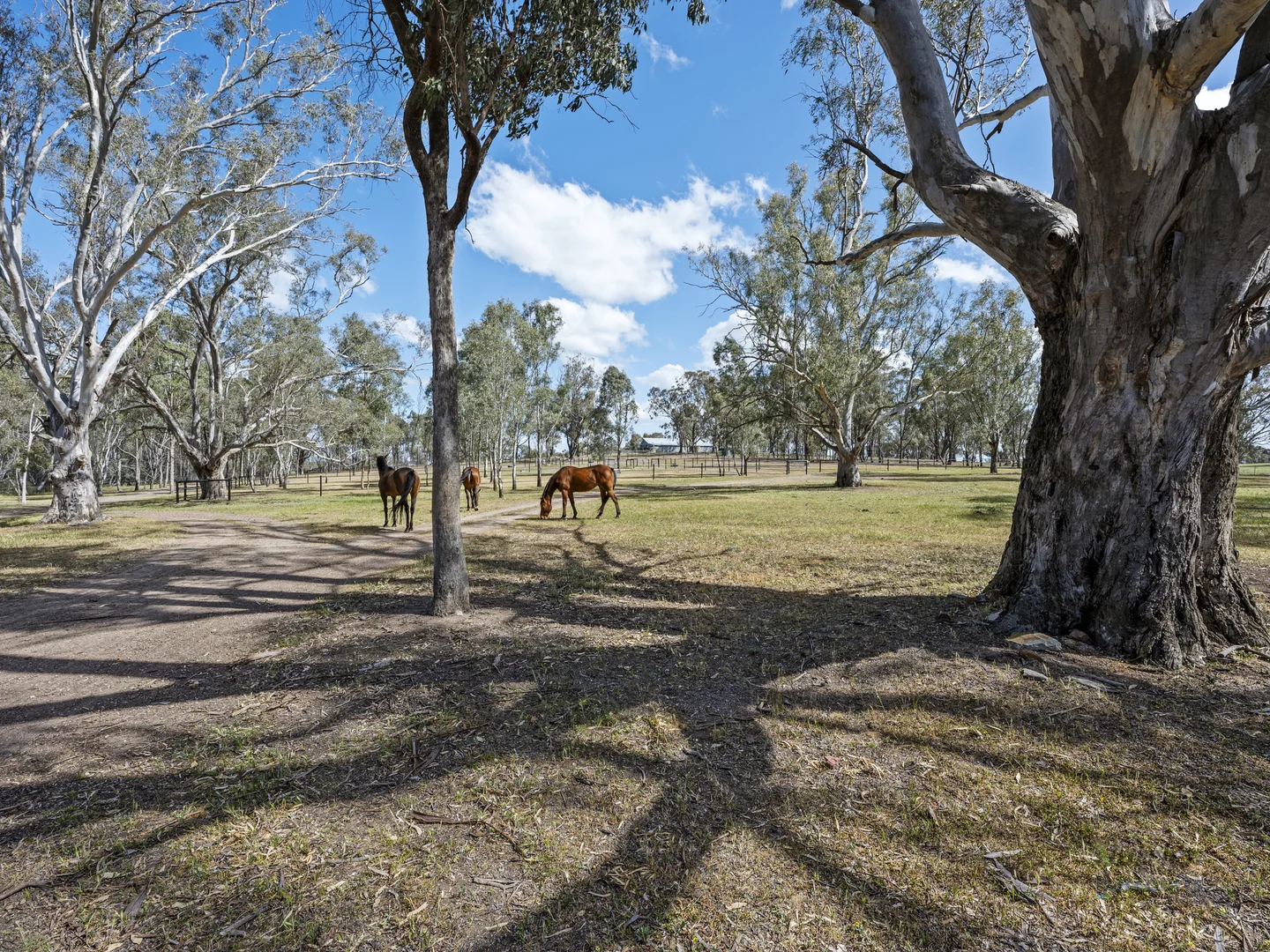 Additional image 20 of 182 Strathaird Road, Tamleugh VIC 3669