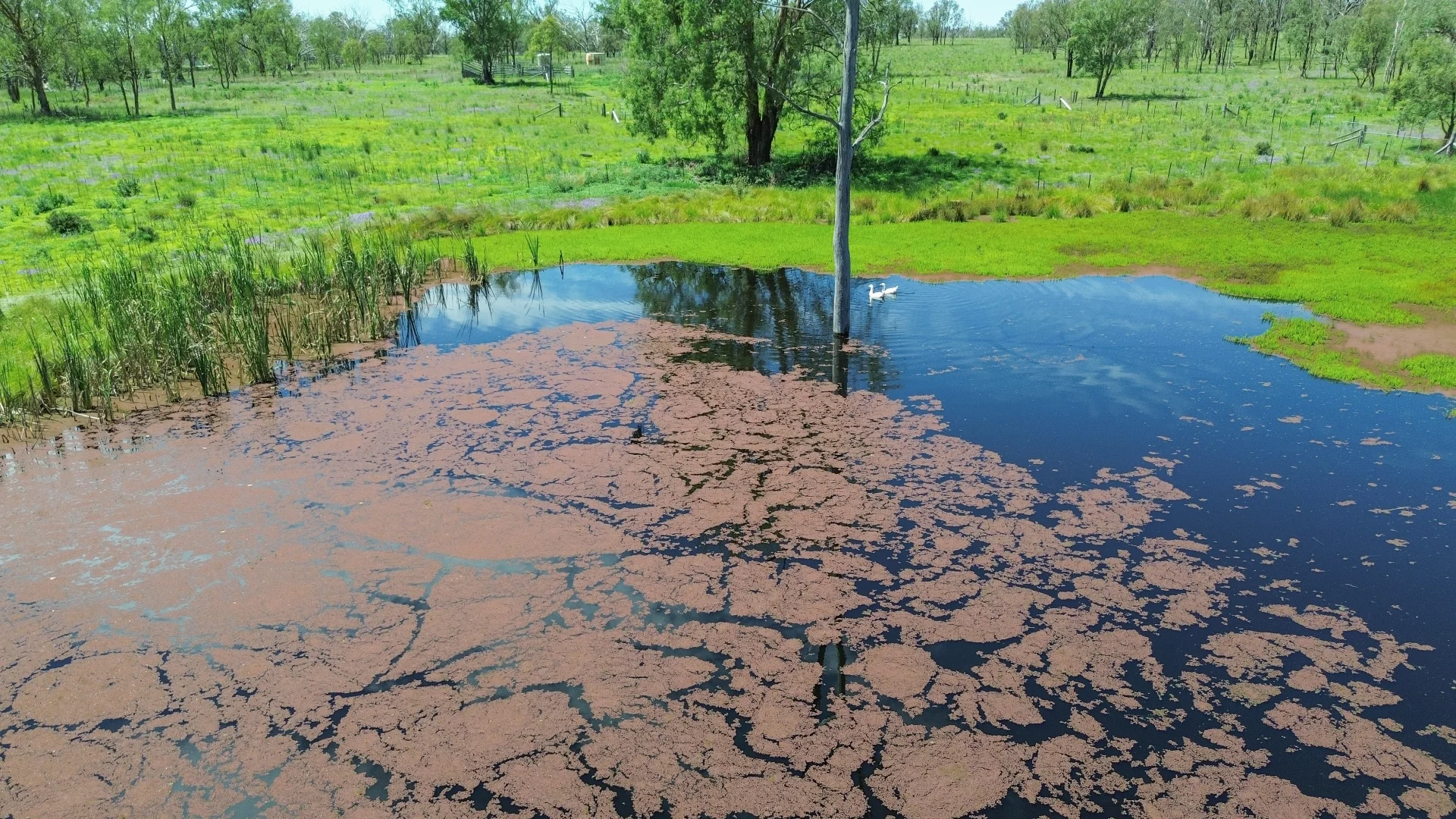 Additional image 31 of 36 Webber Lane, Thanes Creek QLD 4370