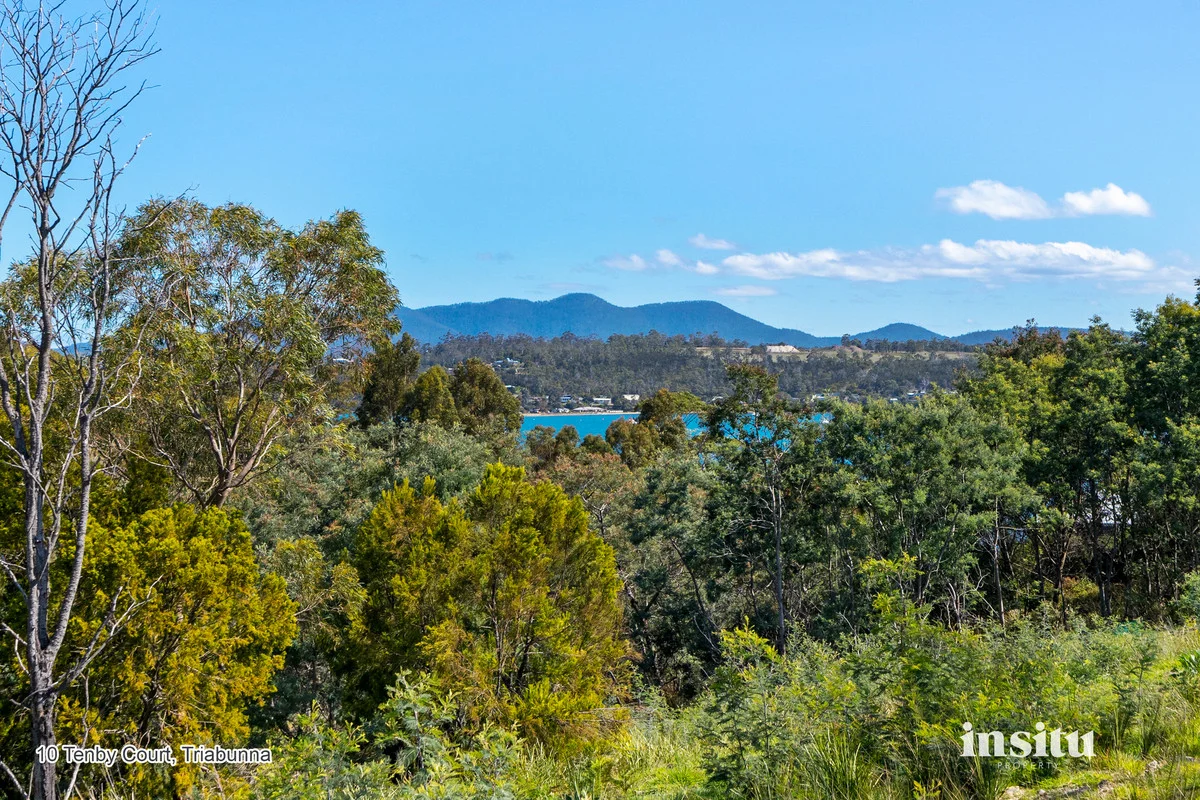 Additional image 10 of Tenby Court, Triabunna TAS 7190
