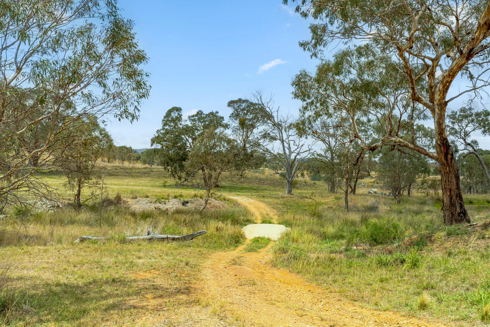 Additional image 59 of 14 Avonley Road, Majura ACT 2609