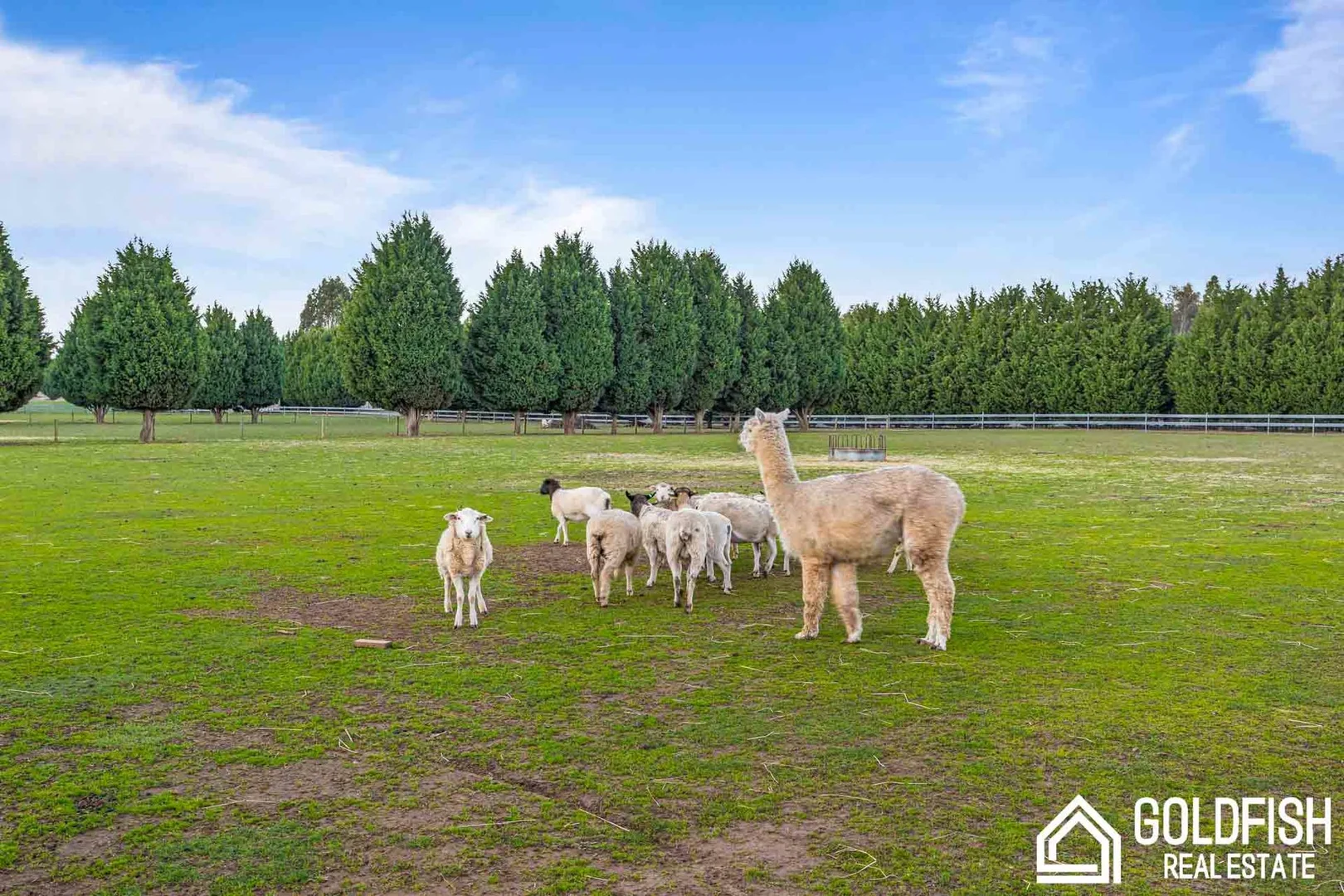 Additional image 32 of 88 Kennedys Road, Sulky VIC 3352