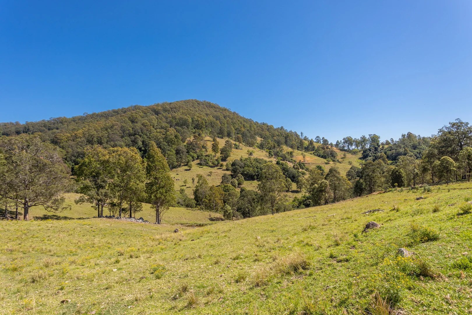 Additional image 6 of 233 Thunderbolts Way, Gloucester NSW 2422