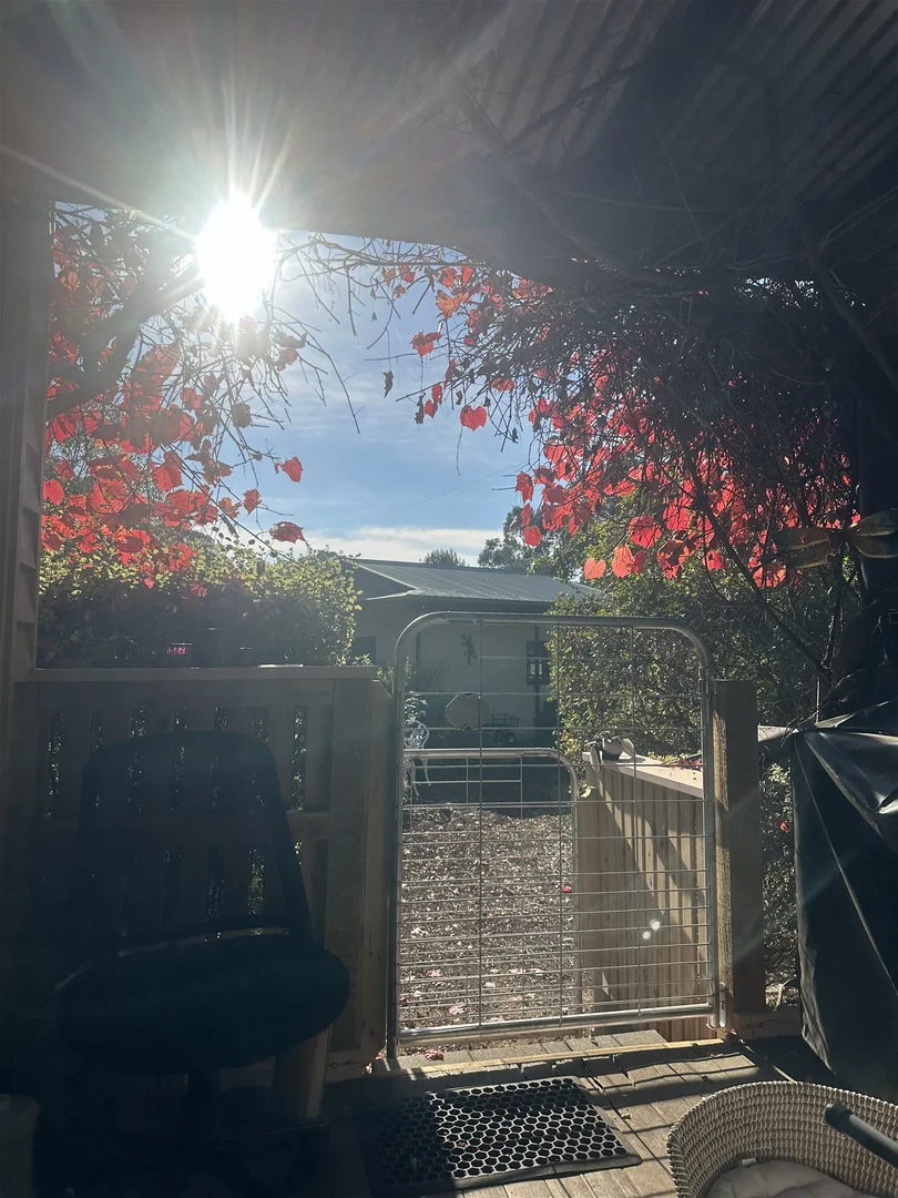 Additional image 26 of 412 Smythesdale Snake Valley Road, Hillcrest VIC 3351