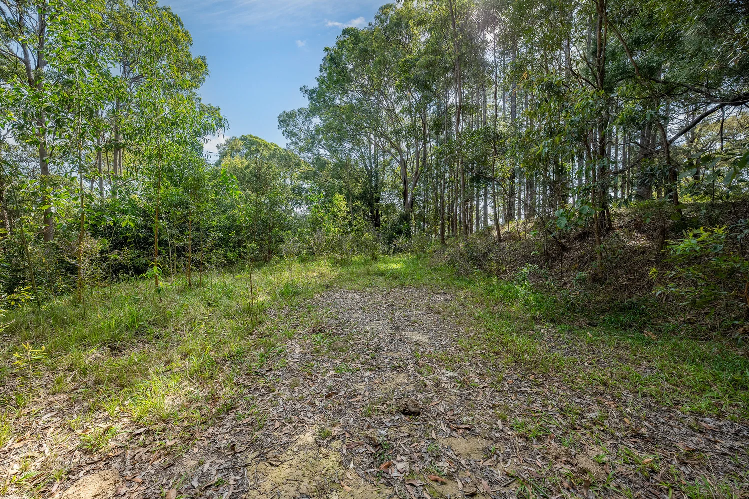 Additional image 17 of 38 Wooyung Road, Wooyung NSW 2483